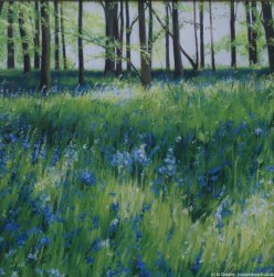 Bluebell Wood